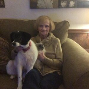 Meet your Posher, Pat